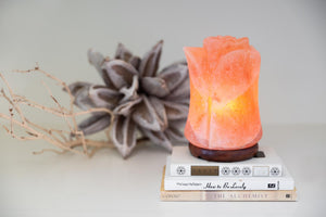 Flower Rose Himalayan Rock Salt Lamp - FREE SHIPPING!